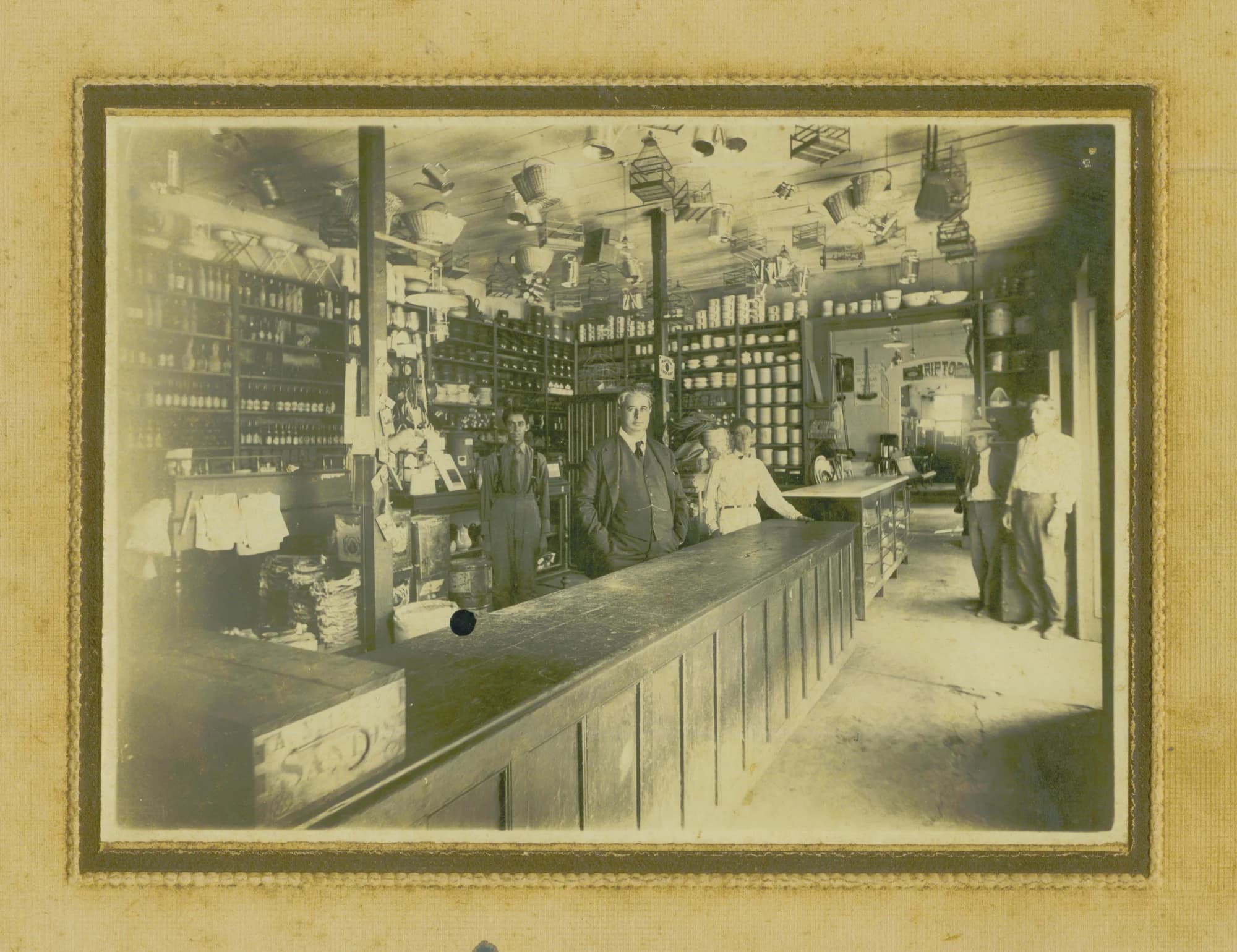 Galeria de Torquato Caleiro 3